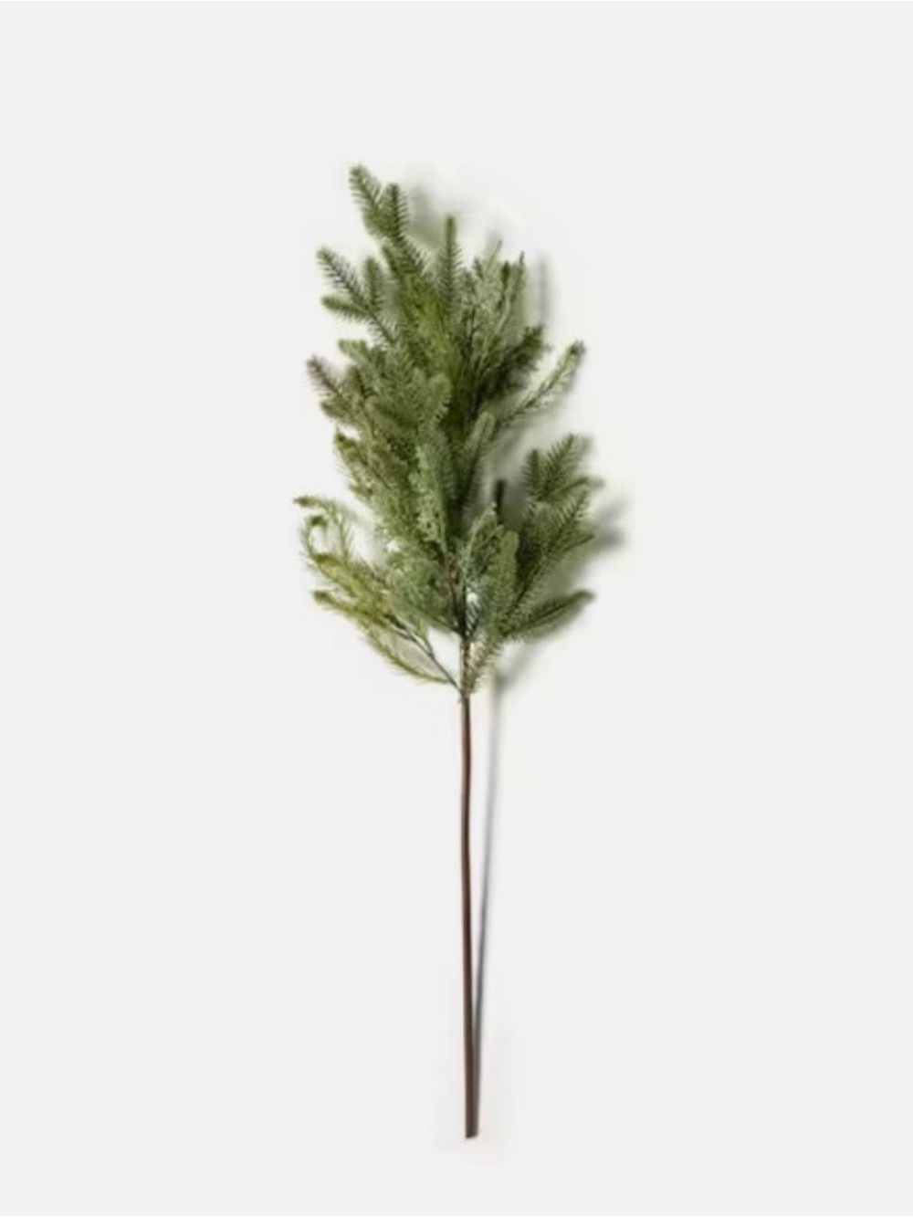 Long Stem Pine - Arrangement Green - Threshold™